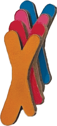 Hypha pieces in player colors